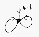 無限二分木を表現する循環的グラフ